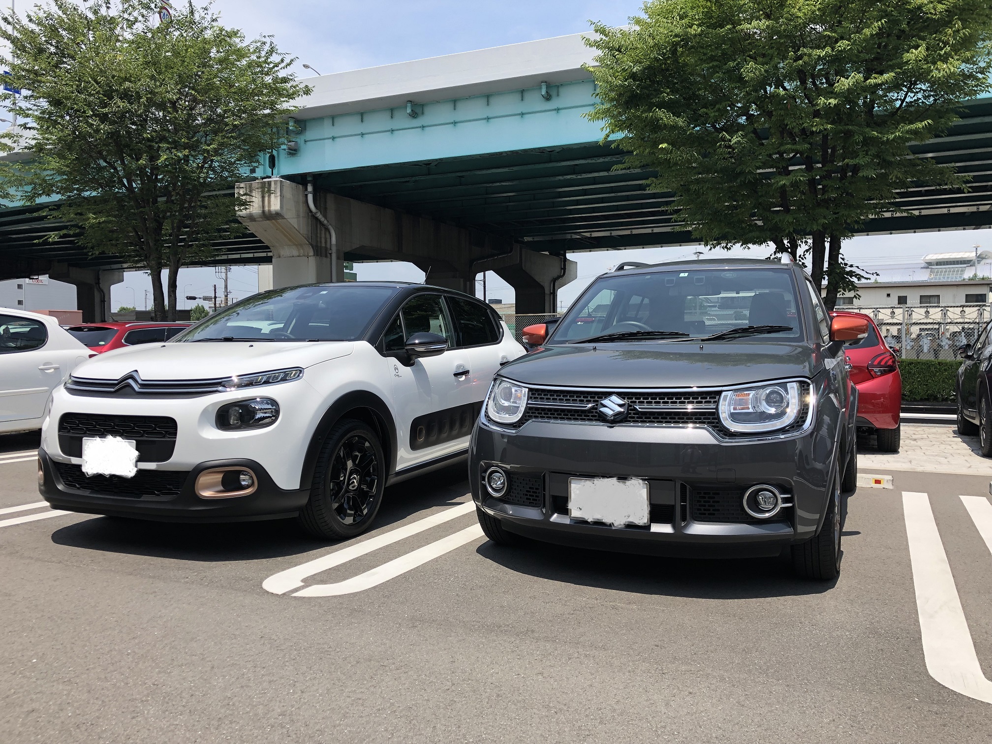 C3 ORIGINS　ご納車です！