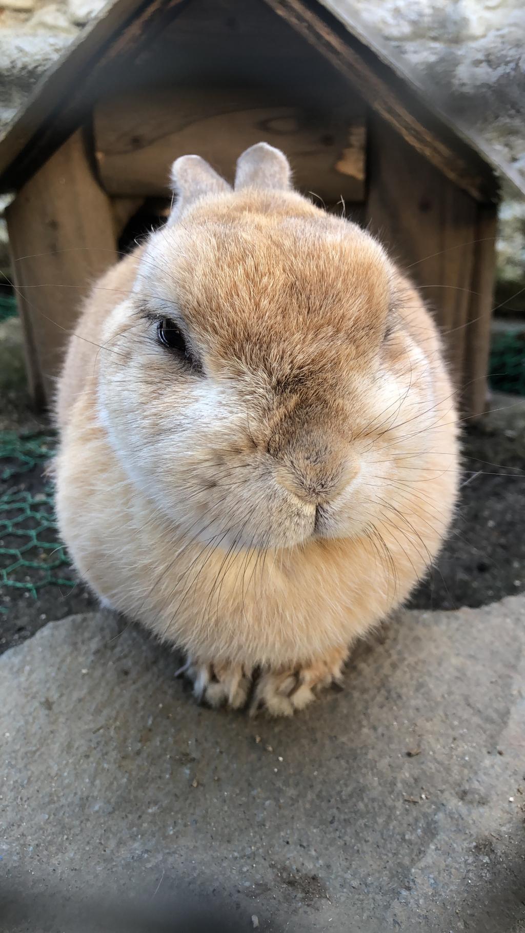 ご来場お待ちしております。