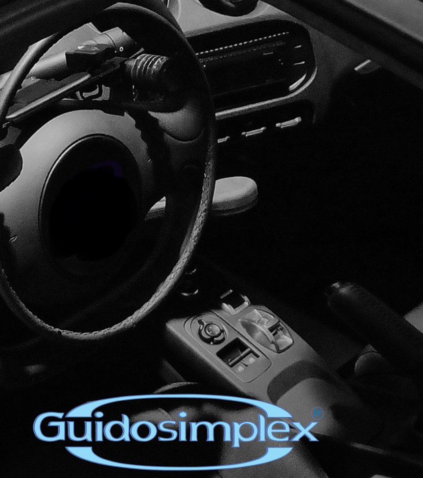 Guidosimplex