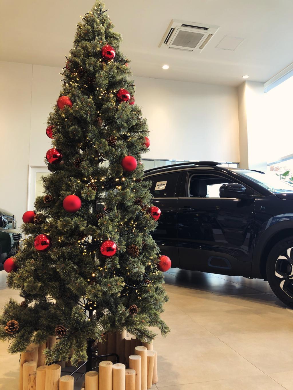 クリスマスツリー🎄